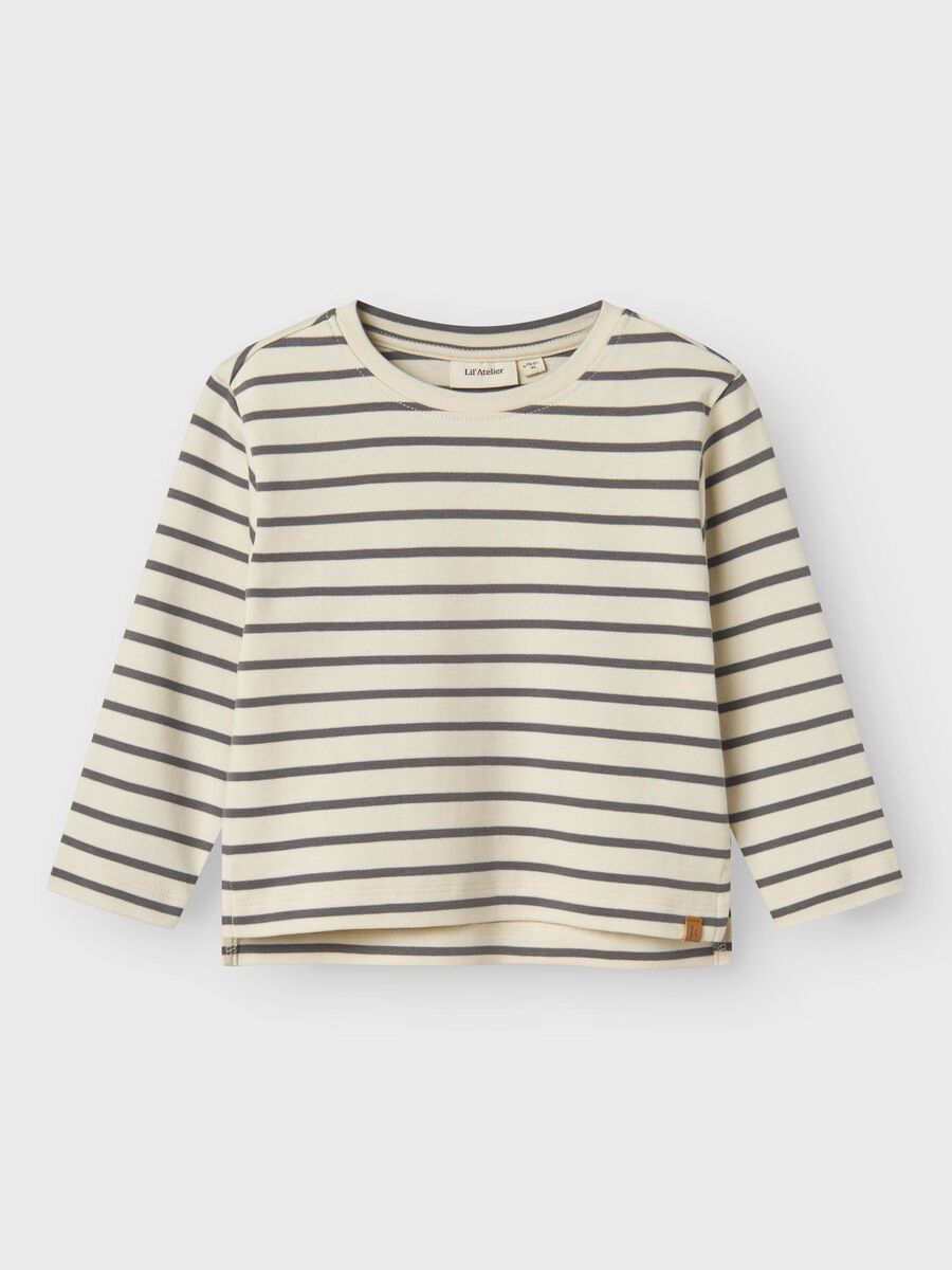 13245711_Turtledove_1201061_003