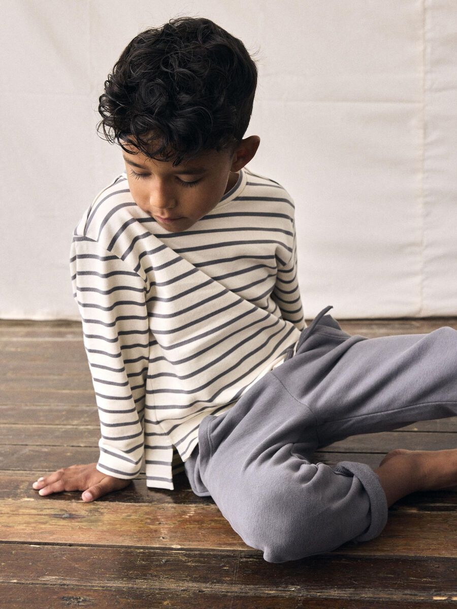 13245711_Turtledove_1201061_008